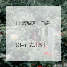 十堰城区一口袋公园正式开放