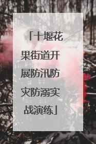 十堰花果街道开展防汛防灾防溺实战演练