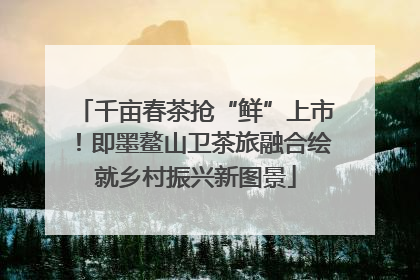 千亩春茶抢“鲜”上市！即墨鳌山卫茶旅融合绘就乡村振兴新图景