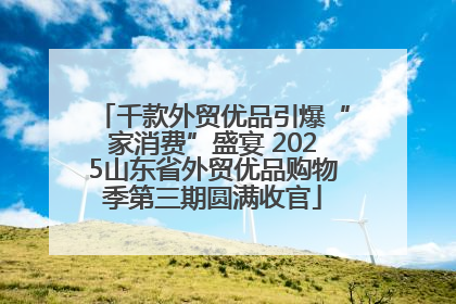 千款外贸优品引爆“家消费”盛宴 2025山东省外贸优品购物季第三期圆满收官