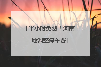半小时免费！河南一地调整停车费