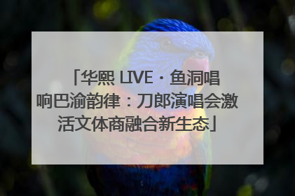 华熙 LIVE・鱼洞唱响巴渝韵律：刀郎演唱会激活文体商融合新生态