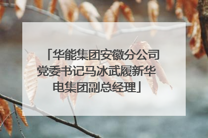 华能集团安徽分公司党委书记马冰武履新华电集团副总经理