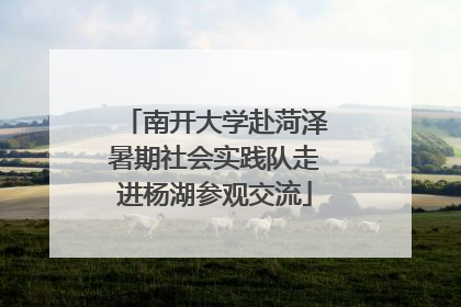 南开大学赴菏泽暑期社会实践队走进杨湖参观交流
