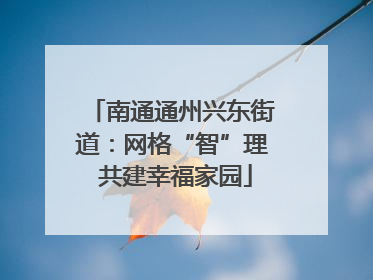 南通通州兴东街道：网格“智”理 共建幸福家园