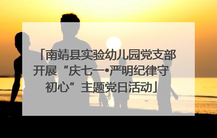 南靖县实验幼儿园党支部开展“庆七一•严明纪律守初心”主题党日活动