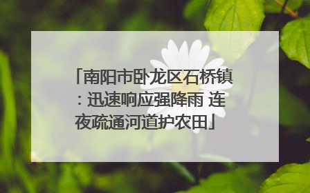 南阳市卧龙区石桥镇：迅速响应强降雨 连夜疏通河道护农田