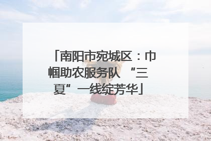 南阳市宛城区：巾帼助农服务队 “三夏”一线绽芳华