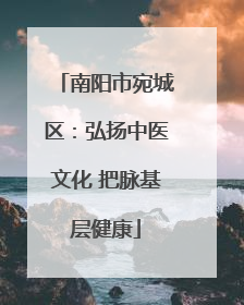 南阳市宛城区：弘扬中医文化 把脉基层健康