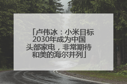 卢伟冰：小米目标2030年成为中国头部家电，非常期待和美的海尔并列