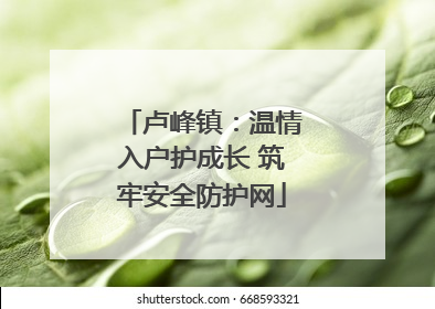卢峰镇：温情入户护成长 筑牢安全防护网