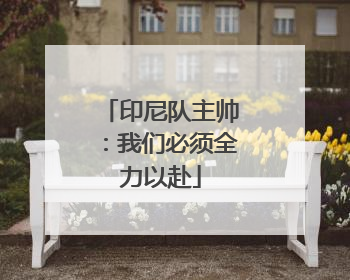 印尼队主帅：我们必须全力以赴