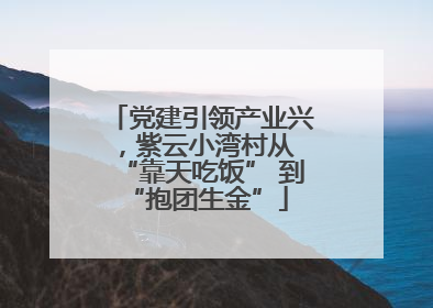 党建引领产业兴，紫云小湾村从 “靠天吃饭” 到 “抱团生金”