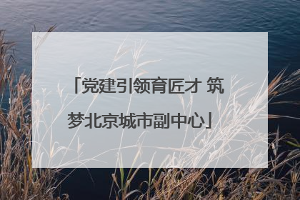 党建引领育匠才 筑梦北京城市副中心