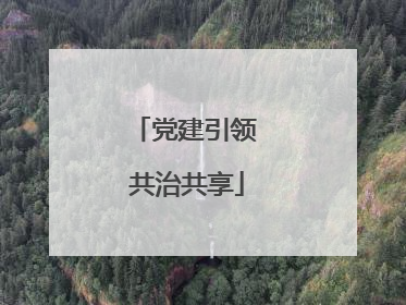 党建引领 共治共享