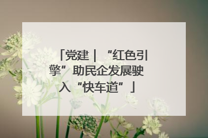 党建｜“红色引擎”助民企发展驶入“快车道”