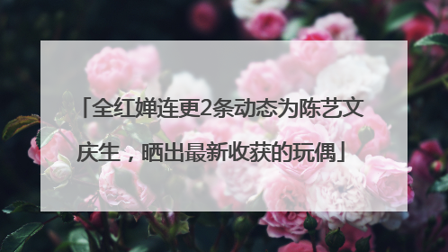 全红婵连更2条动态为陈艺文庆生，晒出最新收获的玩偶