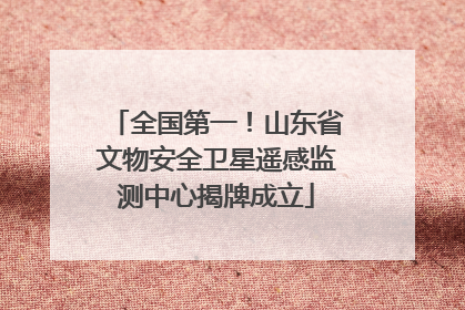 全国第一！山东省文物安全卫星遥感监测中心揭牌成立