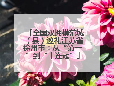 全国双拥模范城（县）巡礼江苏省徐州市：从“第一”到“十连冠”