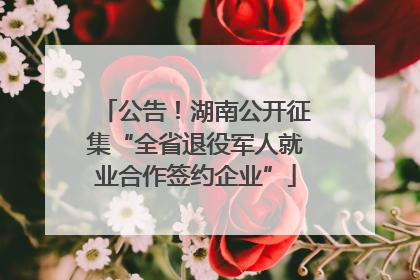 公告！湖南公开征集“全省退役军人就业合作签约企业”
