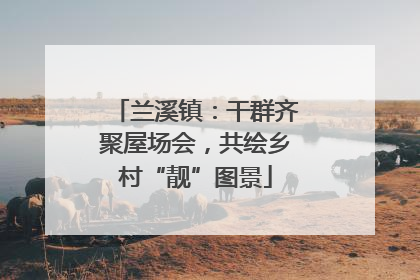 兰溪镇：干群齐聚屋场会，共绘乡村“靓”图景