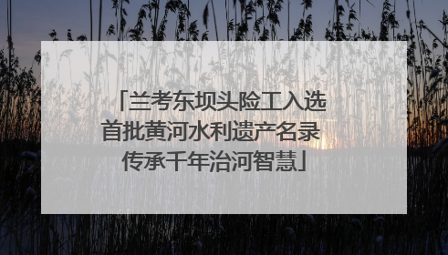 兰考东坝头险工入选首批黄河水利遗产名录 传承千年治河智慧