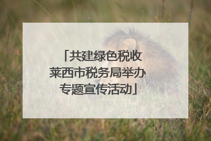 共建绿色税收 莱西市税务局举办专题宣传活动