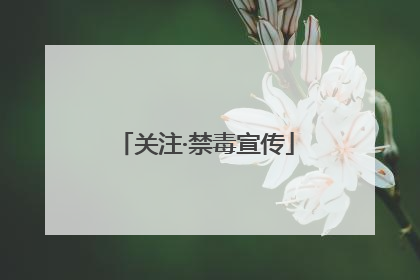 关注·禁毒宣传