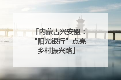 内蒙古兴安盟：“阳光银行”点亮乡村振兴路