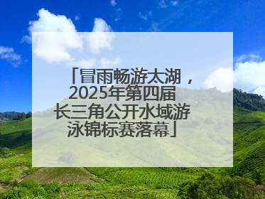 冒雨畅游太湖，2025年第四届长三角公开水域游泳锦标赛落幕