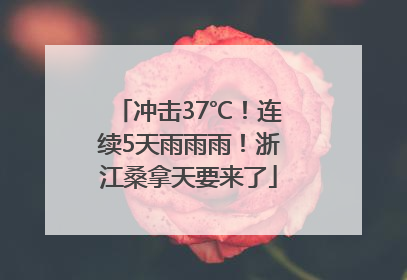 冲击37℃！连续5天雨雨雨！浙江桑拿天要来了