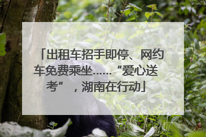 出租车招手即停、网约车免费乘坐……“爱心送考”，湖南在行动