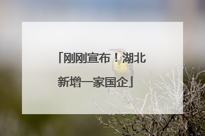 刚刚宣布！湖北新增一家国企