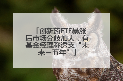 创新药ETF暴涨后市场分歧加大，有基金经理称透支“未来三五年”