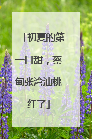 初夏的第一口甜，蔡甸张湾油桃红了