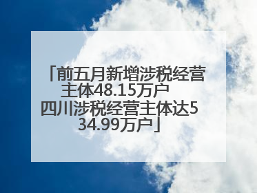 前五月新增涉税经营主体48.15万户 四川涉税经营主体达534.99万户