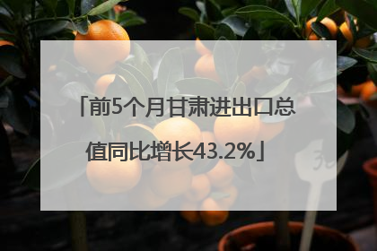 前5个月甘肃进出口总值同比增长43.2%