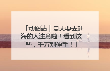 动图站｜夏天要去赶海的人注意啦！看到这些，千万别伸手！