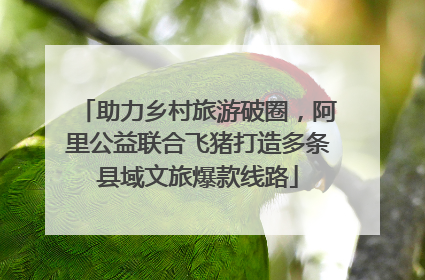 助力乡村旅游破圈，阿里公益联合飞猪打造多条县域文旅爆款线路