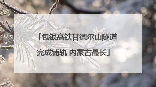 包银高铁甘德尔山隧道完成铺轨 内蒙古最长
