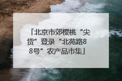 北京市郊樱桃“尖货”登录“北苑路88号”农产品市集