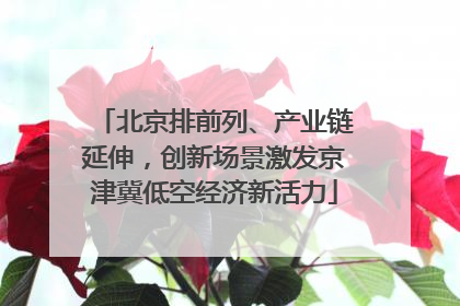 北京排前列、产业链延伸，创新场景激发京津冀低空经济新活力