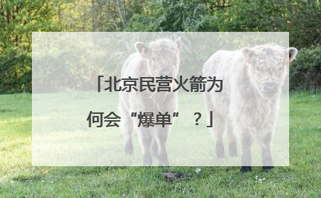 北京民营火箭为何会“爆单”？