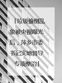 垃圾偷倒乱象被央视曝光后，萍乡市委书记实地督导专项整治