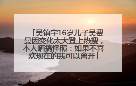 吴镇宇16岁儿子吴费曼因变化太大登上热搜，本人晒搞怪照：如果不喜欢现在的我可以离开