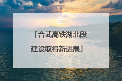 合武高铁湖北段建设取得新进展