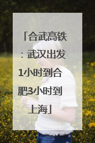 合武高铁：武汉出发1小时到合肥3小时到上海