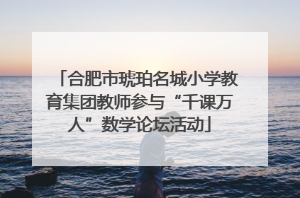 合肥市琥珀名城小学教育集团教师参与“千课万人”数学论坛活动