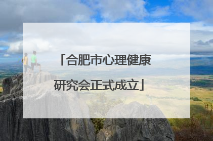 合肥市心理健康研究会正式成立
