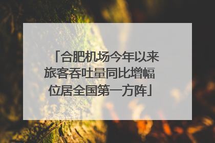 合肥机场今年以来旅客吞吐量同比增幅位居全国第一方阵